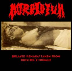 Morbidium : Decayed Remains Taken from Butchers Morgue Morbidium : Decayed Remains Taken from Butchers Morgue